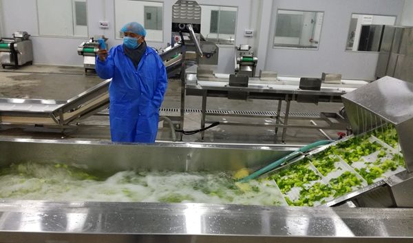 中小型食堂廚房設備清單預算 粗加工區(qū)